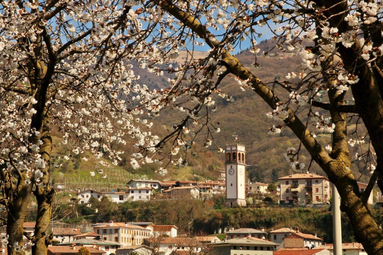 Agriturismo Riva Dei Coz Sequsino Kültér fotó