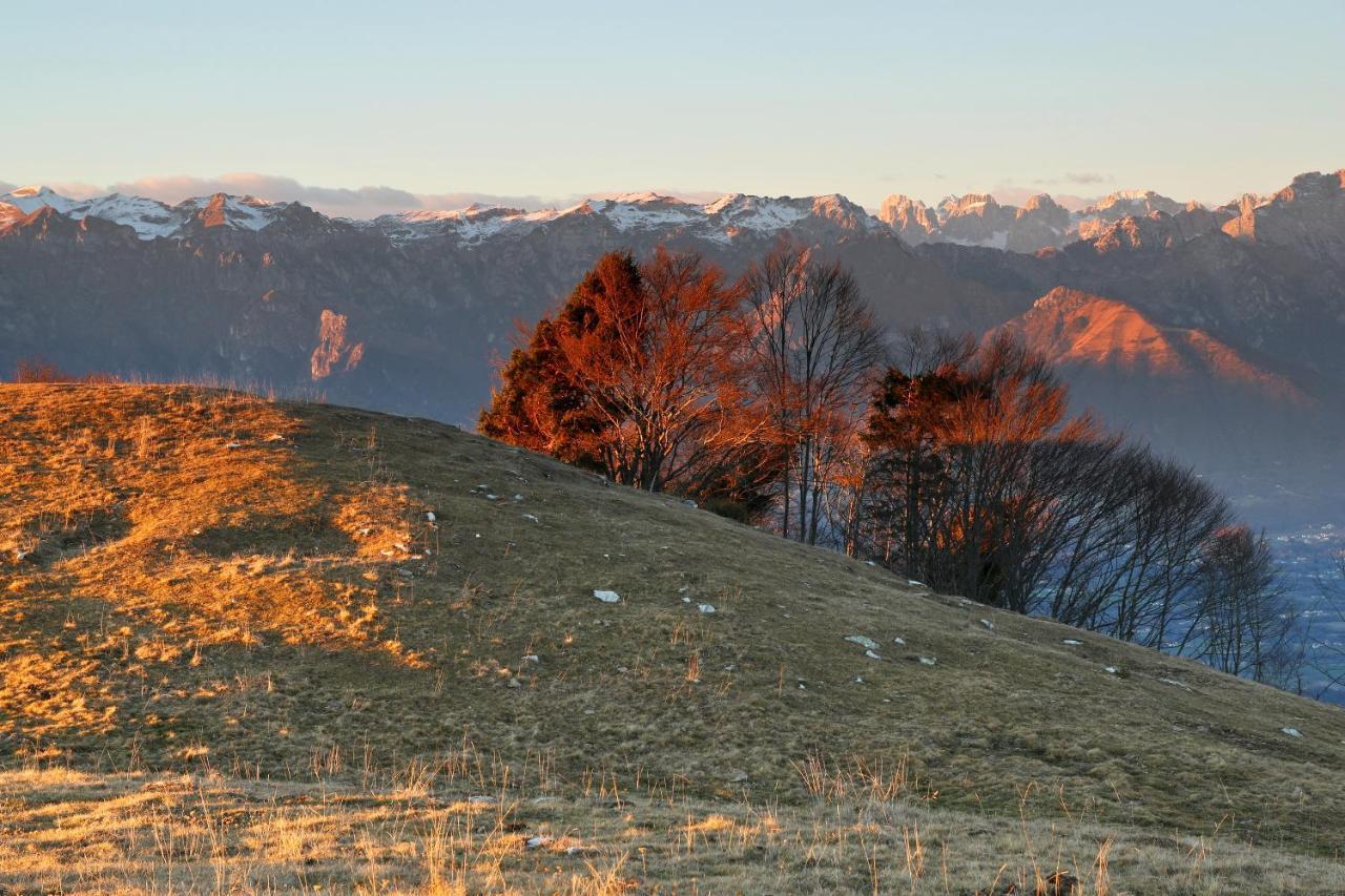 Agriturismo Riva Dei Coz Sequsino Kültér fotó