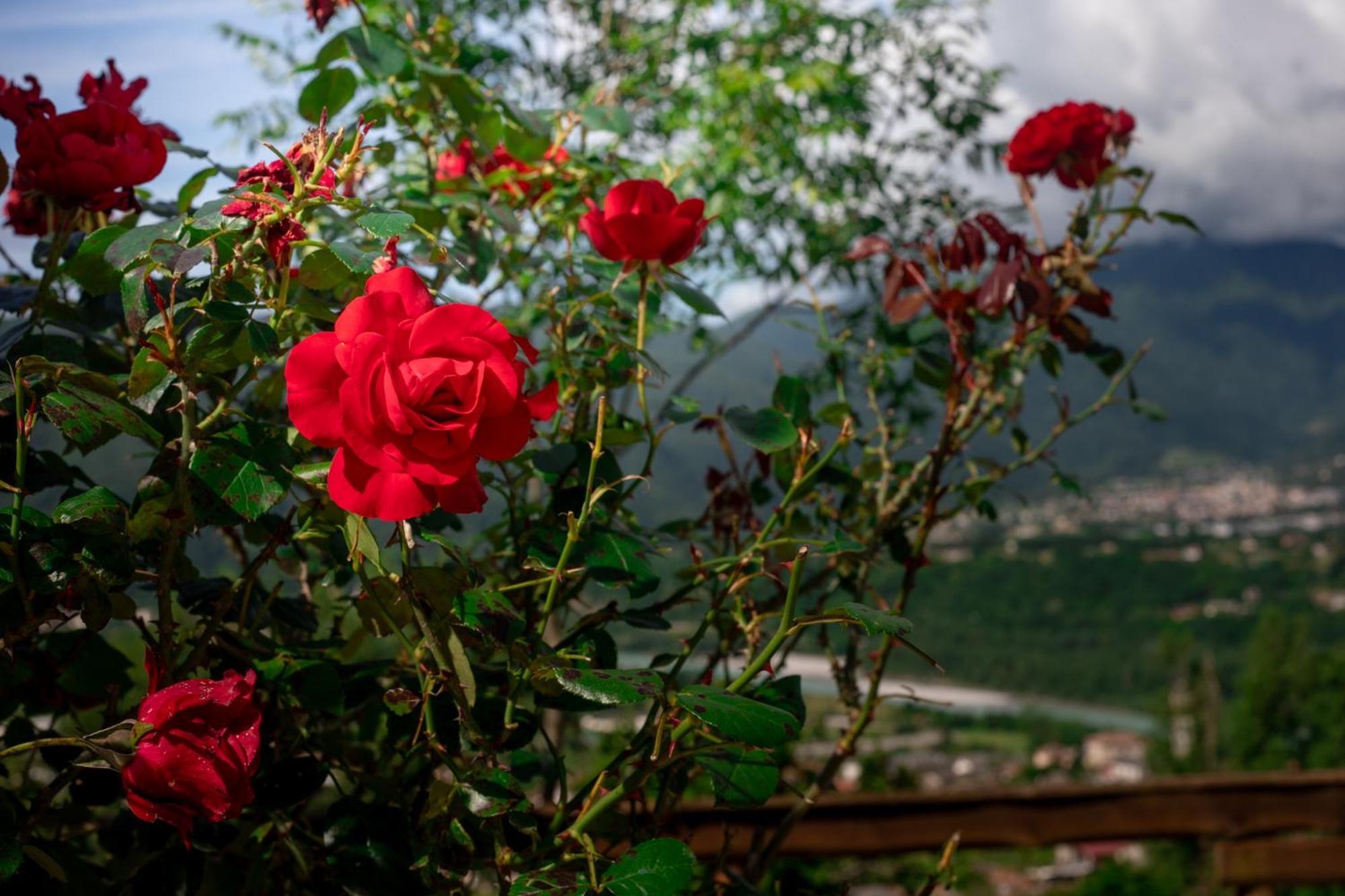Agriturismo Riva Dei Coz Sequsino Kültér fotó